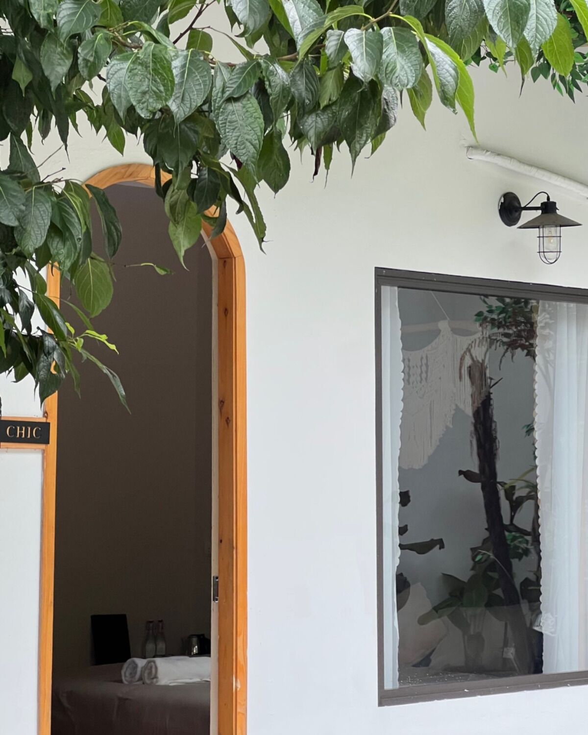 A room with a wooden door labeled "CHIC," a large window with a curtain, and a plant hanging above the door.