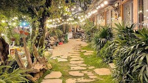 A stone pathway leading to a building with string lights overhead.