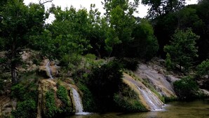 Een natuurlijk landschap met een heldere beek die over rotsen stroomt, omgeven door weelderige groene begroeiing.
