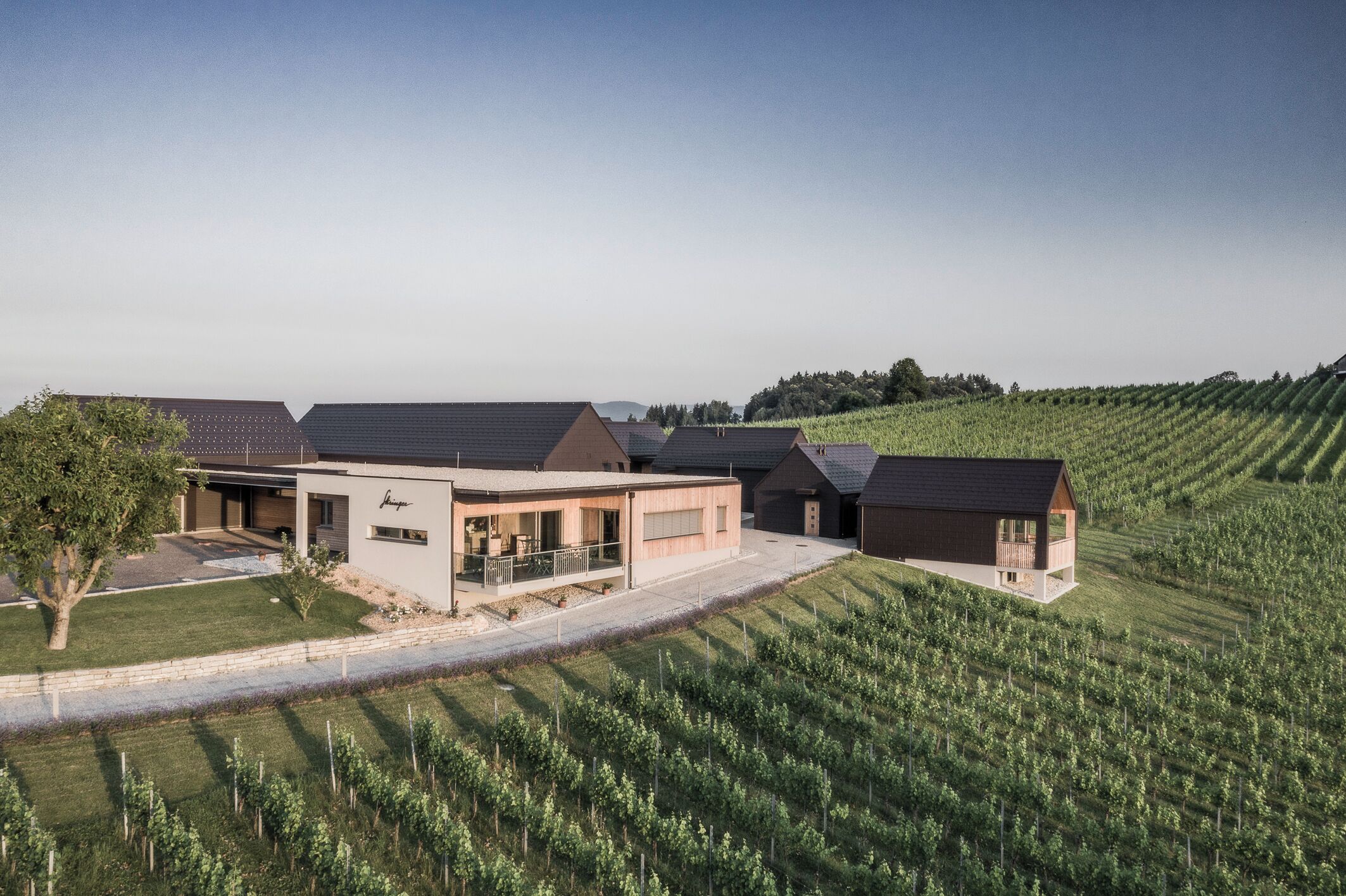 A modern house with a large patio area, surrounded by a vineyard.