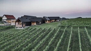 A row of modern houses with large windows and balconies, situated on a hillside with a vineyard in the foreground. - Winzerhäuser Skringer (Leutschach)