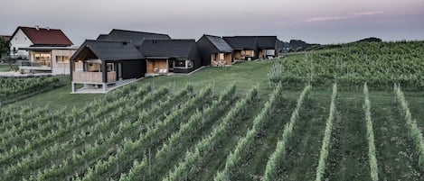 A row of modern houses with large windows and balconies, situated on a hillside with a vineyard in the foreground.