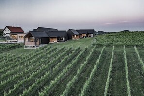 Exclusive Chalet, Vineyard View | Terrace/patio