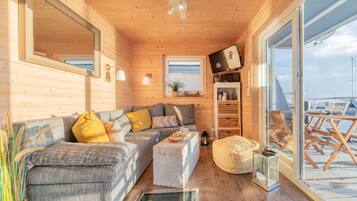 TV connectée, lecteur de DVD, livres