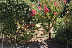Property grounds - Camargue Modern retreat (Cavaillon)