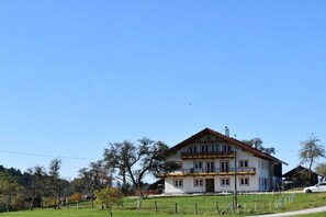 Esterni