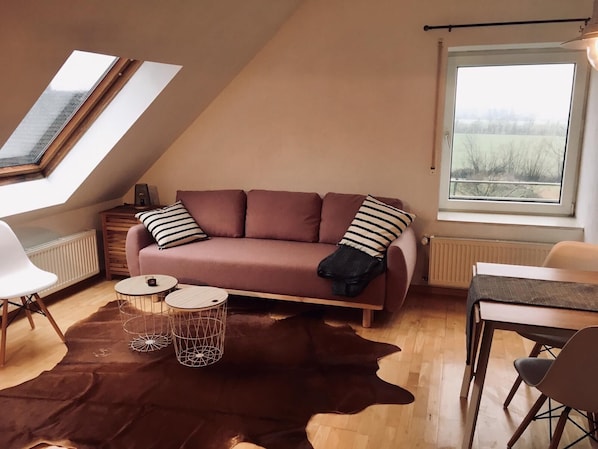 Fernseher, DVD-Player