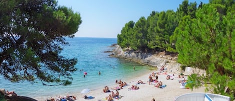 Una playa cerca