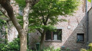 Ein Innenhof mit einem Backsteinhaus, einem Baum und einer Feuerstelle.