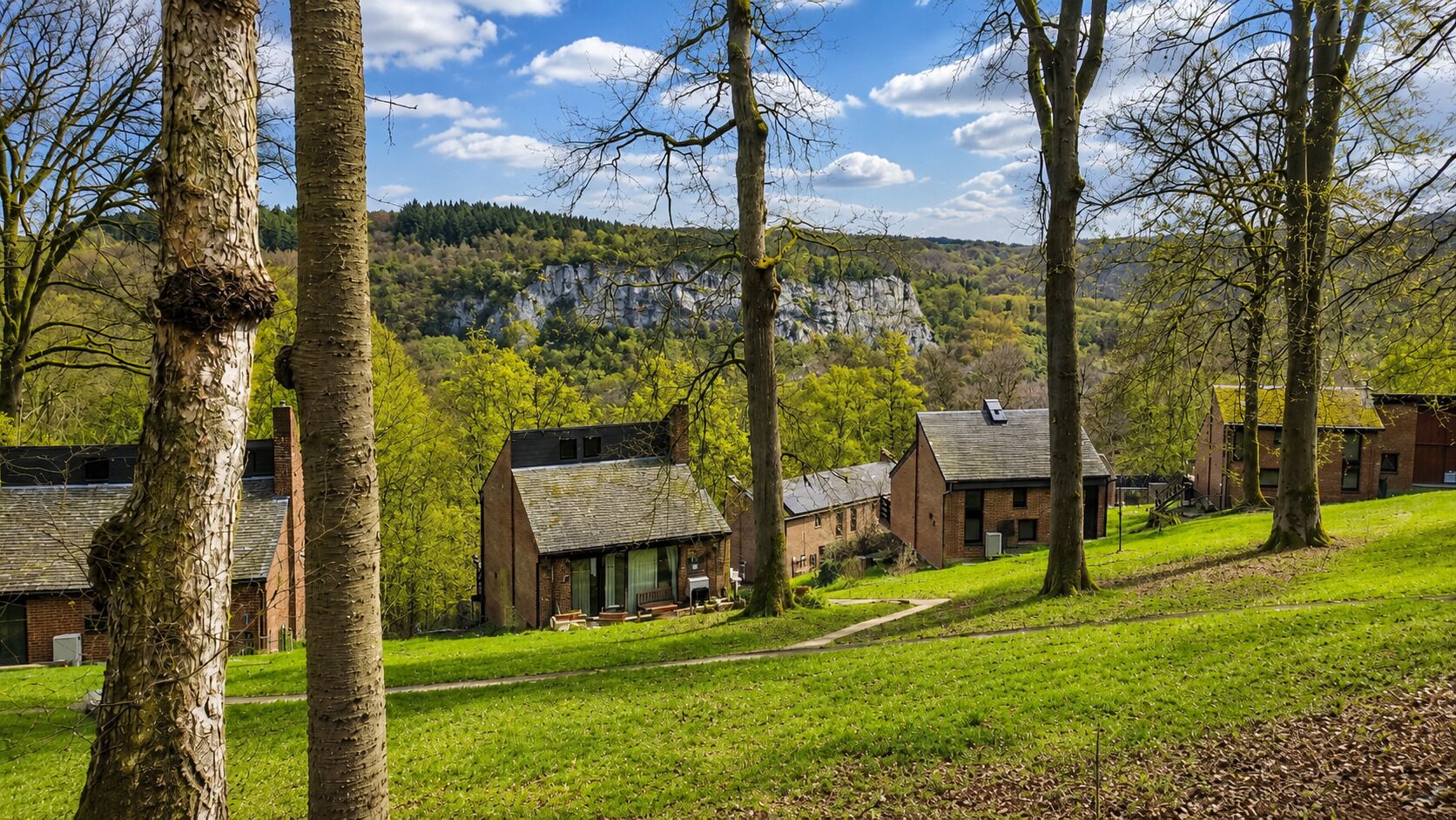 A rural setting with traditional wooden buildings, a grassy area, and a backdrop of a forested hill.