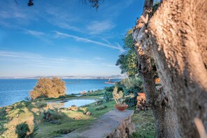 Property grounds - Villa Serao by MyVillaCollection (Ischia Porto)