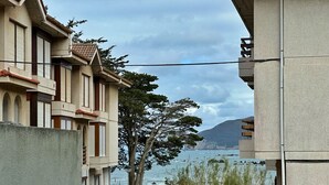 Un edificio costero con balcones que dan al mar, un árbol en primer plano y una vista despejada de la costa al fondo.