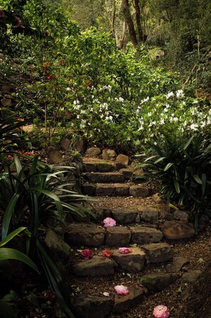 Property grounds - Pointers Villa with views of the vineyards, ocean and breathtaking sunrises. (Cape Town)