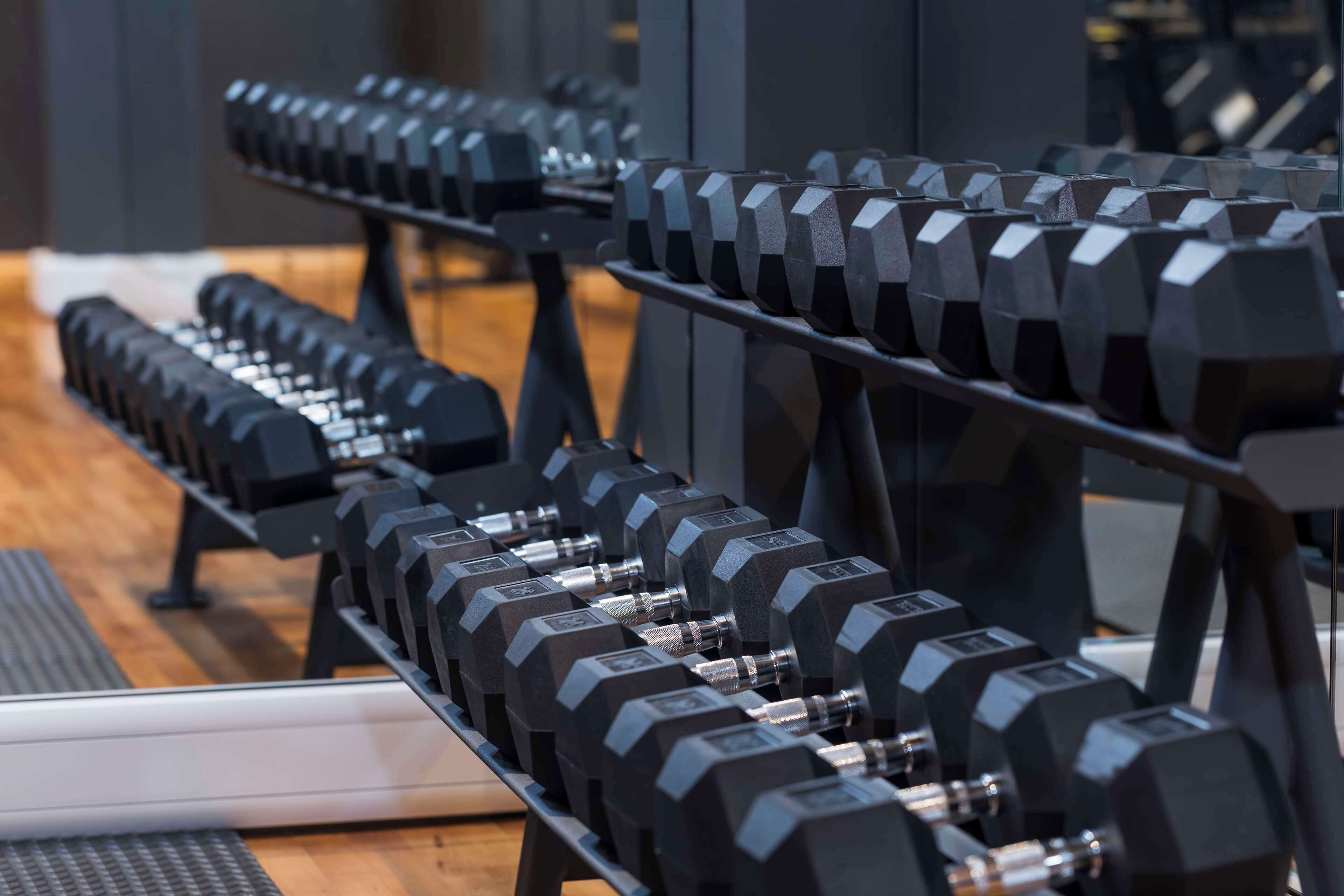 A row of black dumbbells on a rack in a gym.