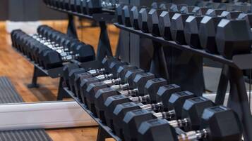 A row of black dumbbells on a rack in a gym.