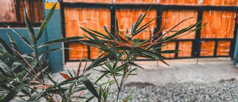 Àrea exterior de l'allotjament