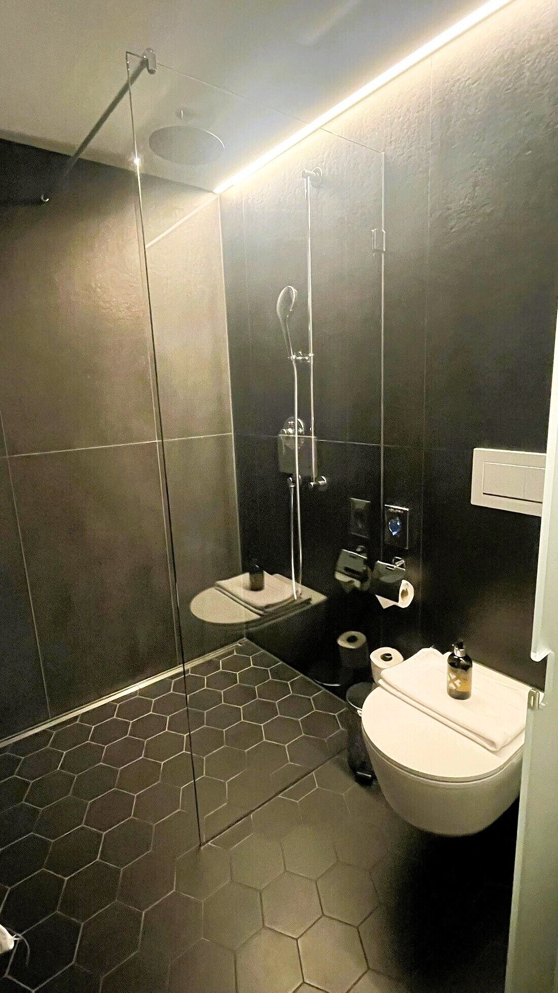 A modern bathroom with a glass shower enclosure, a toilet, and a sink.