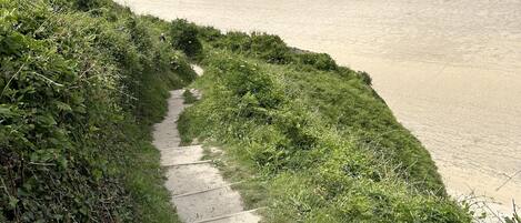 A coastal path leading to a beach with a clear view of the ocean and distant land.