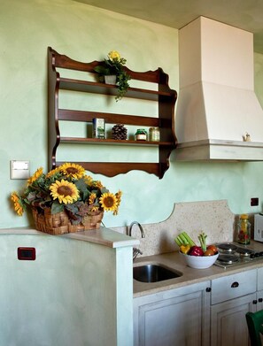 Kjøleskap, mikrobølgeovn, kokeplater og vannkoker