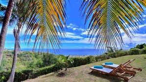 Vista de la playa con una silla de madera y una palmera pequeña.