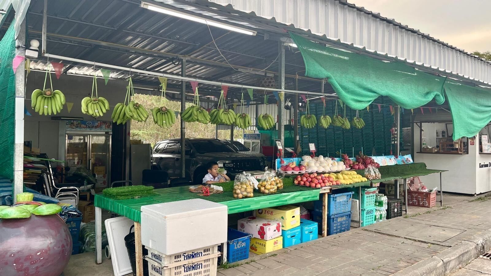 A market stall with bananas hanging overhead and various fruits and vegetables displayed on the table.