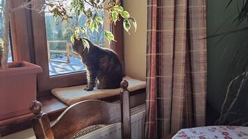 1 chambre, fer et planche Ă repasser, Wi-Fi gratuit, draps fournis