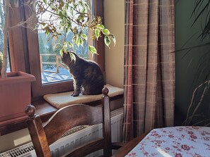 1 間臥室、熨斗/熨衣板、免費無線上網、床單