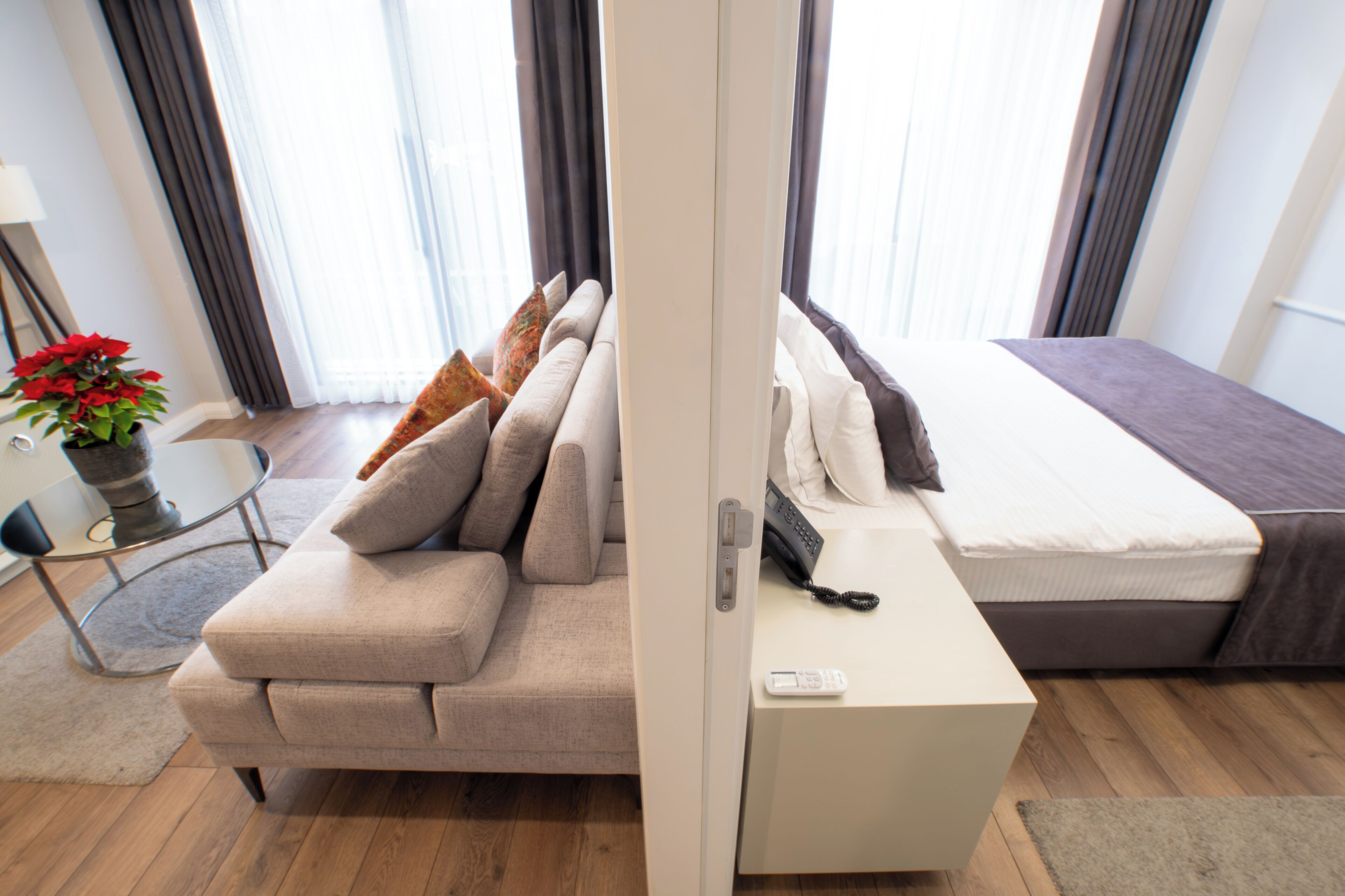 A modern hotel room with a sofa, a bed, a bedside table with a phone, and a potted plant.
