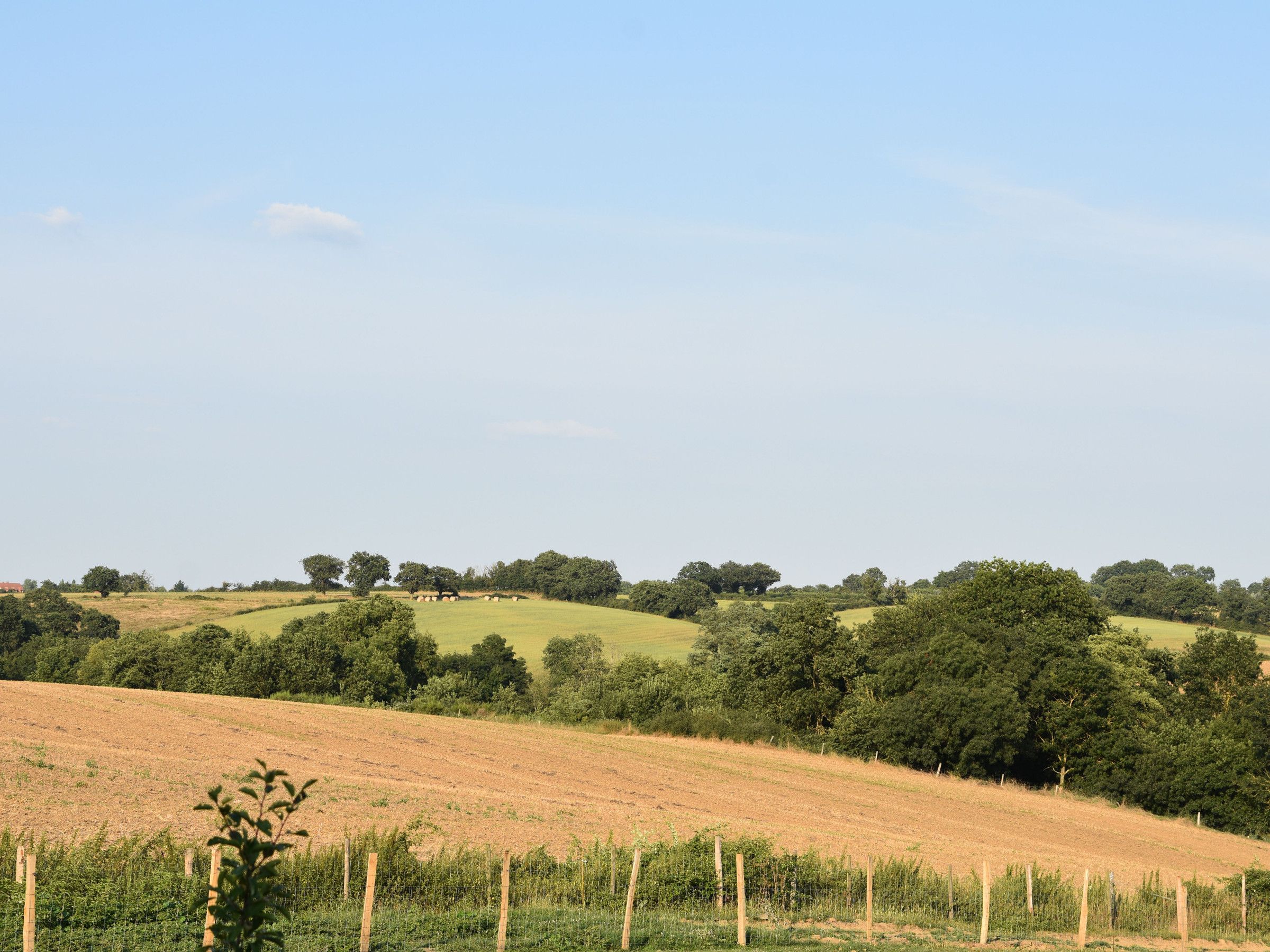 Un paysage rural caractérisé par des collines douces, une ligne de clôture et des arbres dispersés.