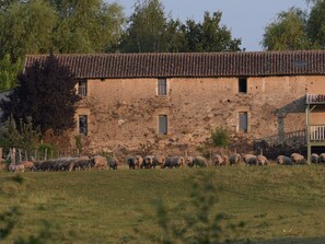 Exterior - Charming family cottage with garden and Wifi, pets allowed (Montilliers)