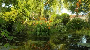 Un jardín tranquilo con un estanque, abundante vegetación y diversas plantas con flores.