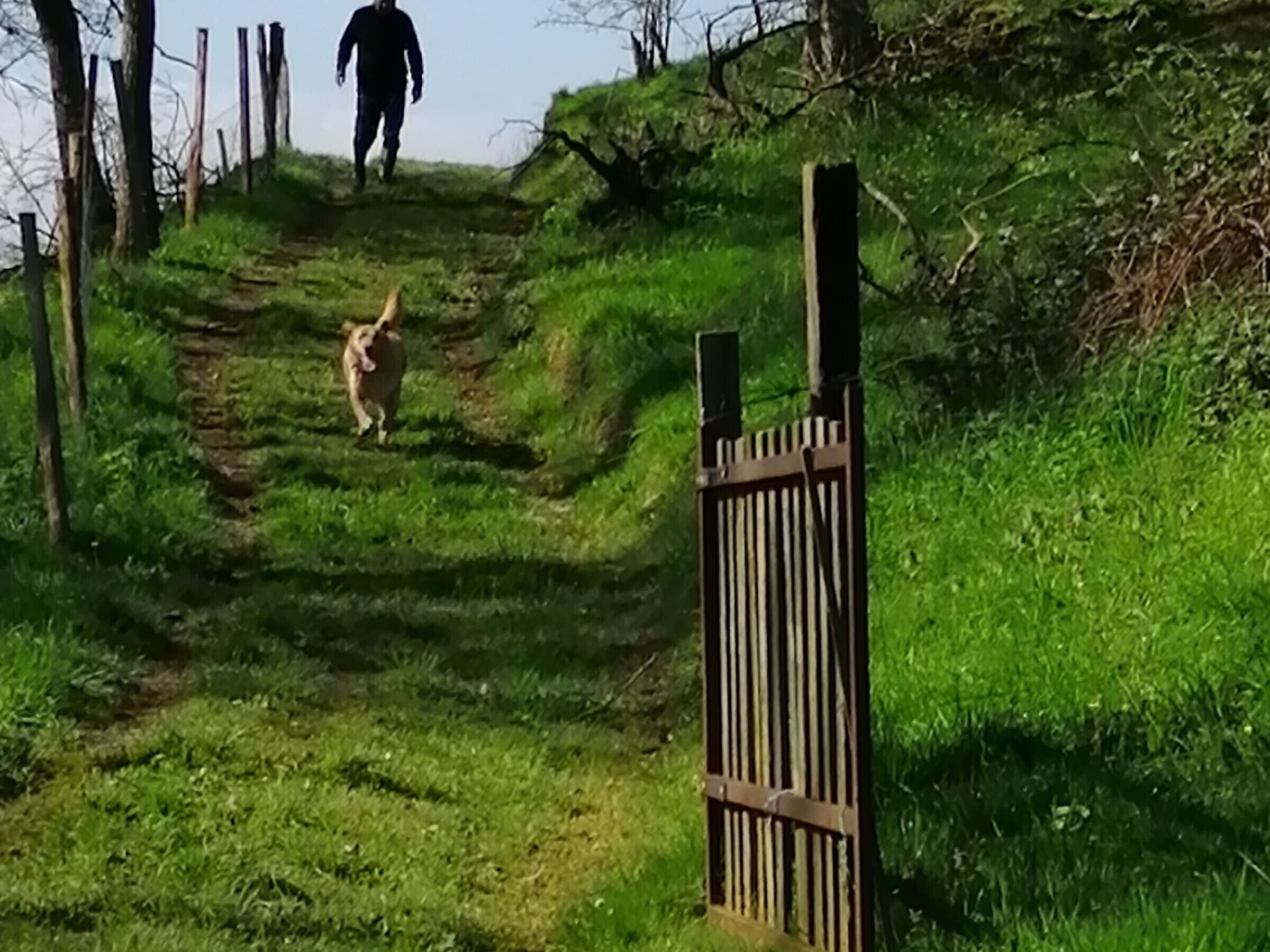 Una verja de madera en la entrada de un sendero cubierto de hierba.