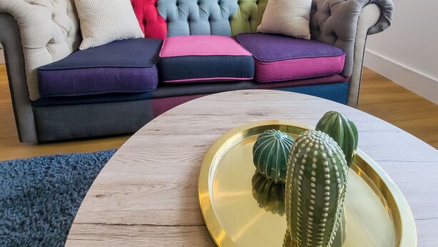 Un salon moderne avec un canapé gris, des coussins colorés, une table basse en bois ornée d’un cactus, et une cuisine en arrière-plan.