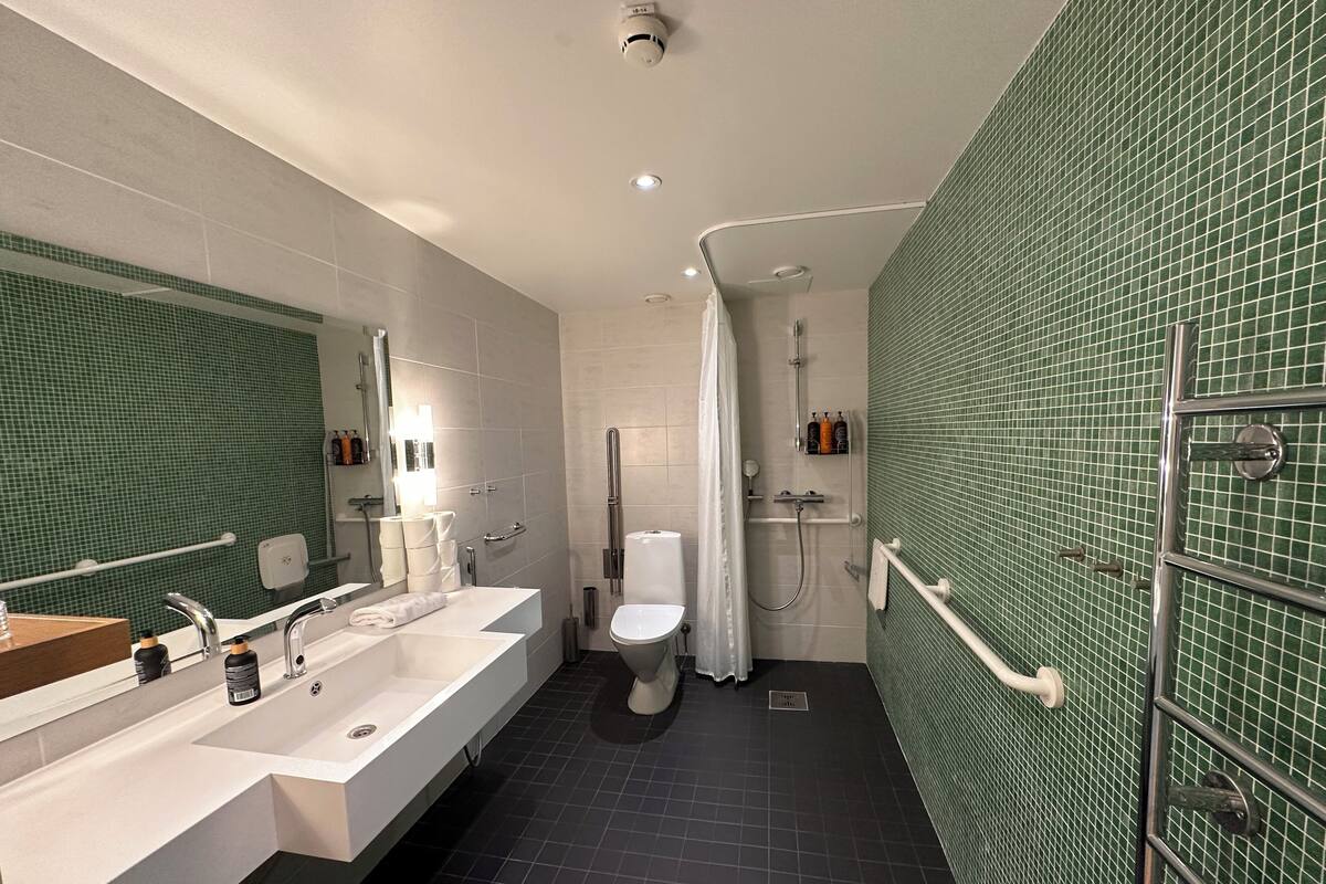 Separate bathtub and shower, hydromassage showerhead, free toiletries