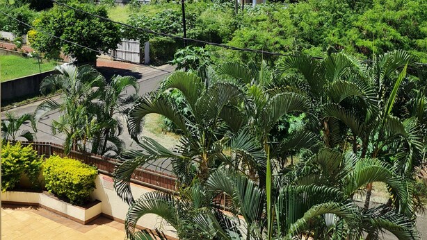 A residential area with a large house, a swimming pool, and lush greenery. - Le Mirage Cozy Beach Apartment, 5 min walk to the beach. Enjoy sunset view (Flic en Flac)