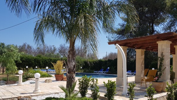 Een zwembadterras met ligbedden, een pergola en een palmboom.
