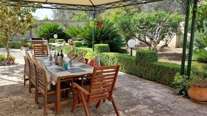 Een overdekte eethoek met een tafel en stoelen, omgeven door potplanten en een verzorgde tuin.
