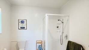 Shower, hair dryer