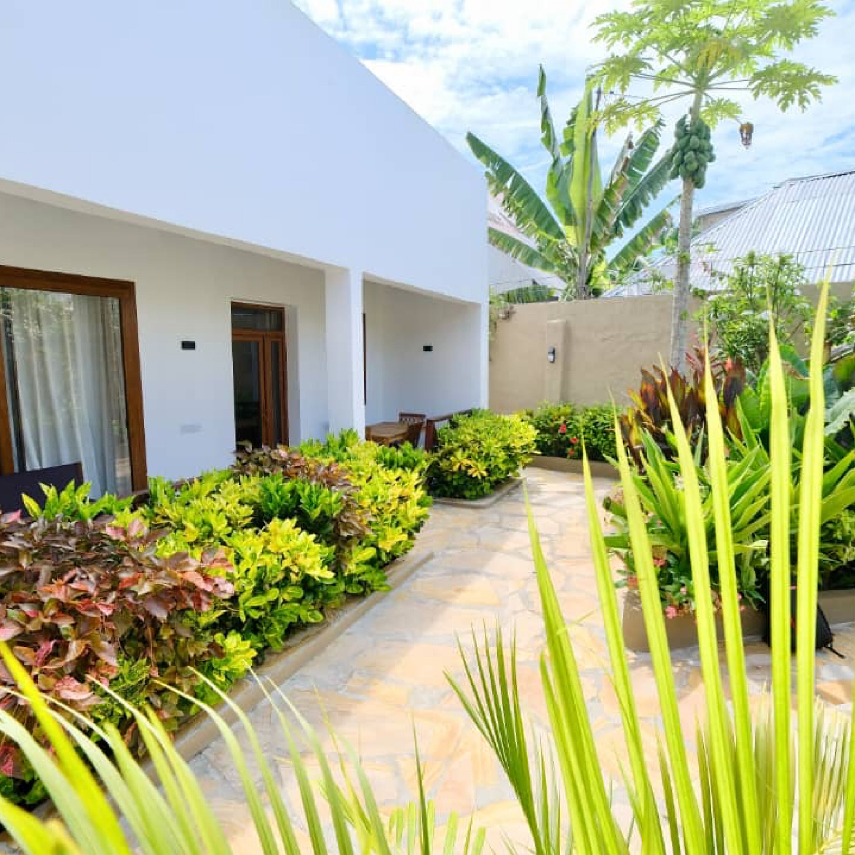Um edifício moderno com fachada branca, um caminho de pedra e vegetação exuberante, incluindo bananeiras e arbustos diversos.