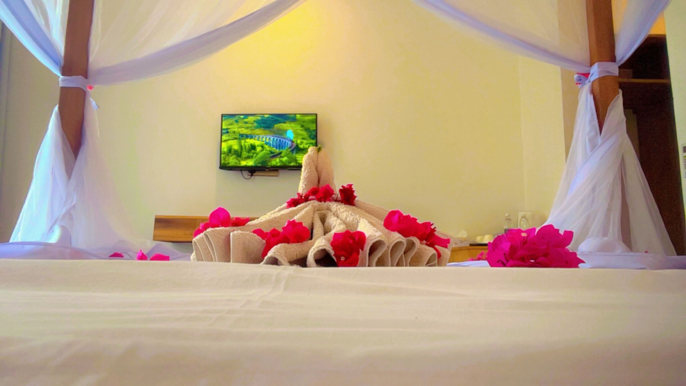 Un lit à baldaquin blanc, un téléviseur fixé au mur et des pétales de rose éparpillés autour.