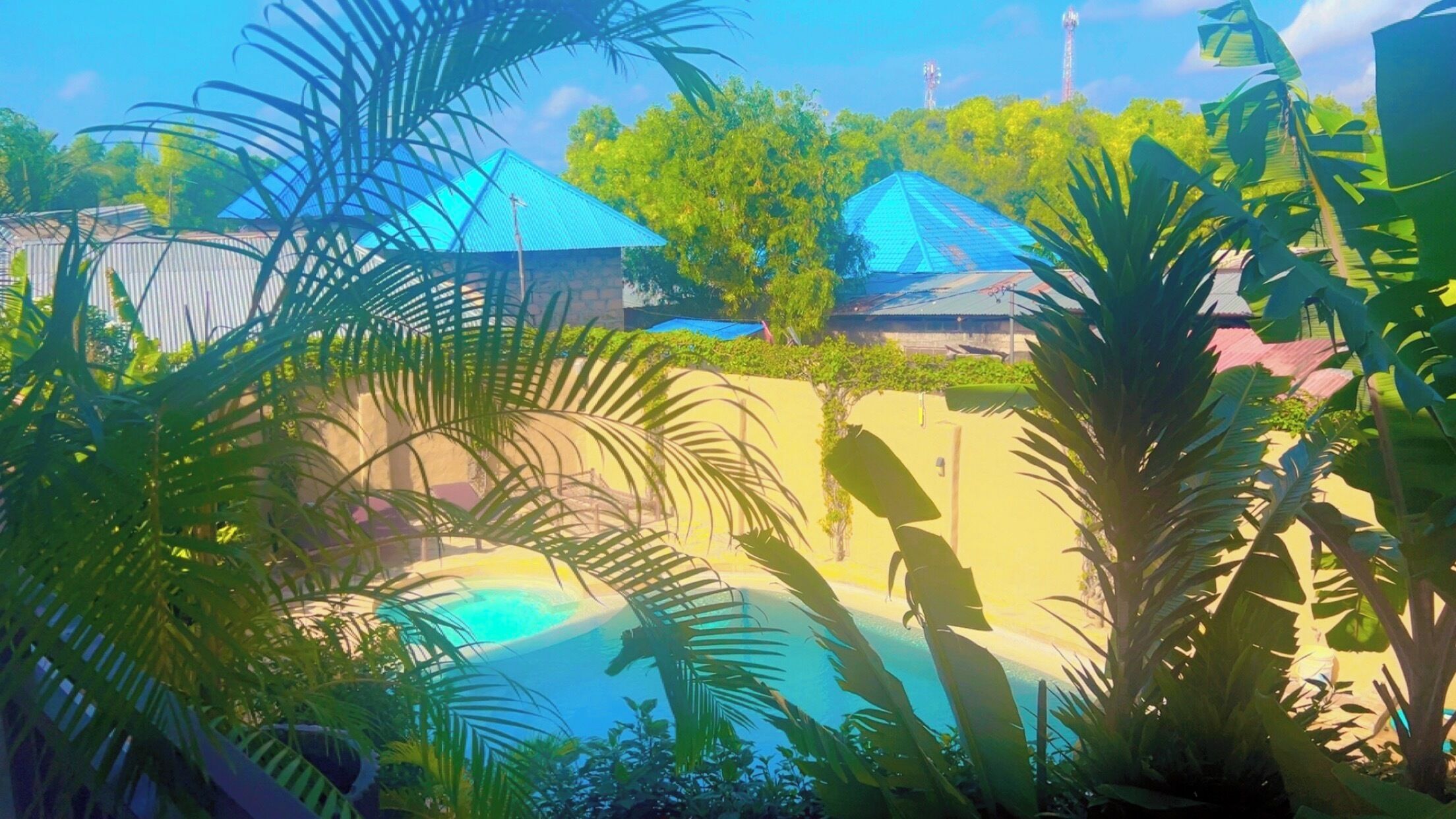 Área de piscina cercada por plantas tropicais, com edifícios ao fundo.