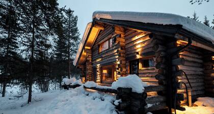A spacious cabin in the landscape of Levijärvi near Levi's activities.