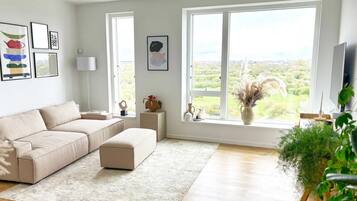 Smart TV y monitor de computadora