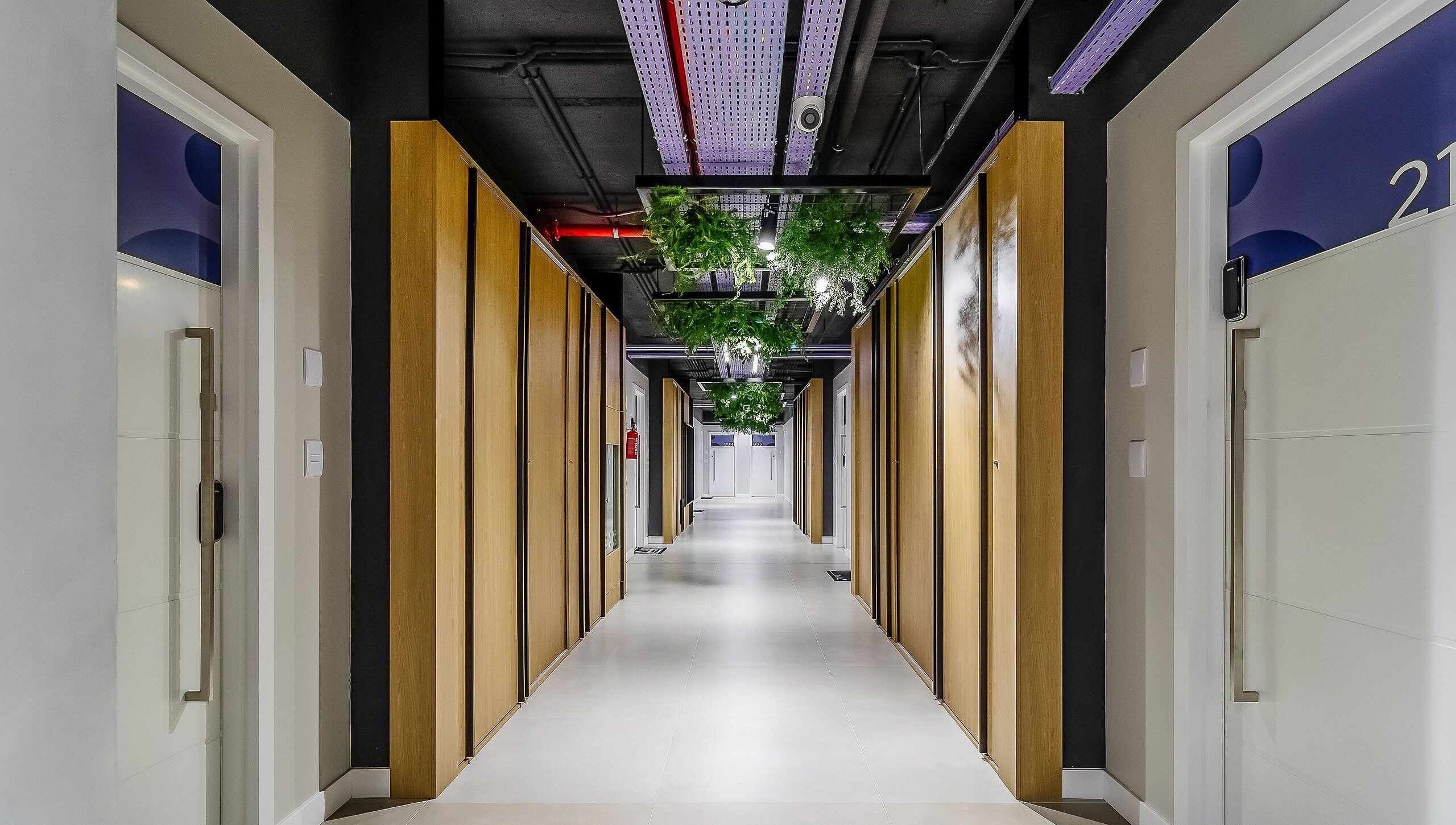 Apartment | Interior