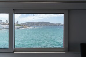 Vista desde la propiedad