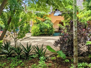 Property grounds - Beautiful 2-bed House in Nungwi (Nungwi)