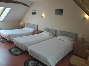 Iron/ironing board, free WiFi - auberge de l'omois (Vallées-en-Champagne)