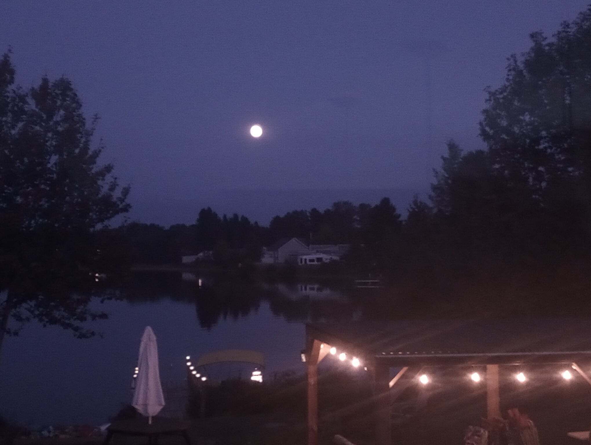 Una vista notturna di una zona sul lago con un gazebo e luci a catena, circondata da alberi e una casa sullo sfondo.