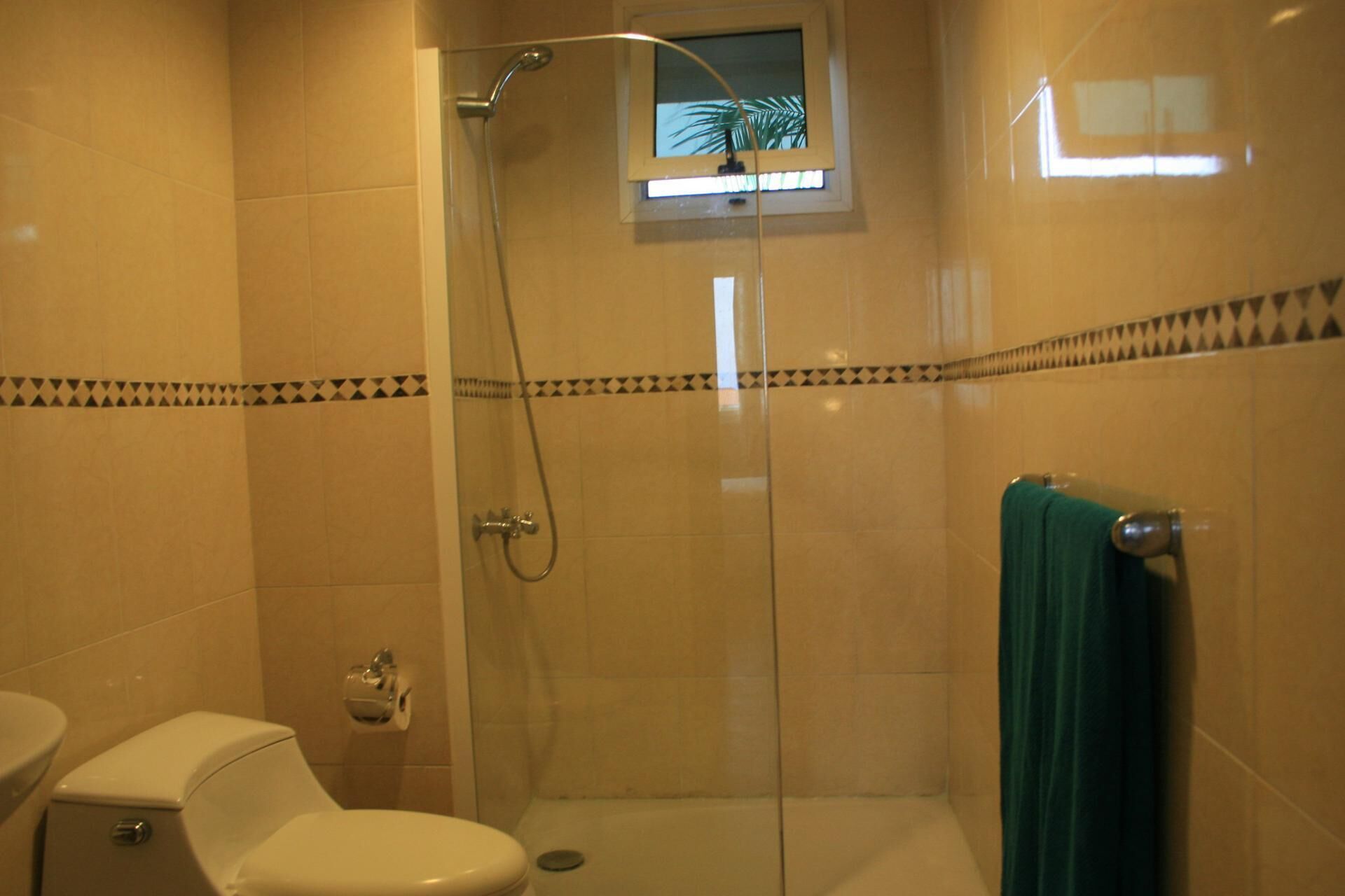 A bathroom with a glass-enclosed shower, a toilet, and a towel rack.