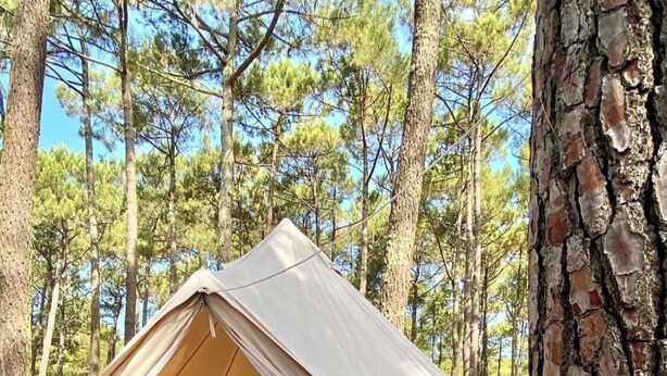 Una carpa de lona montada en un bosque, con una cama en su interior.